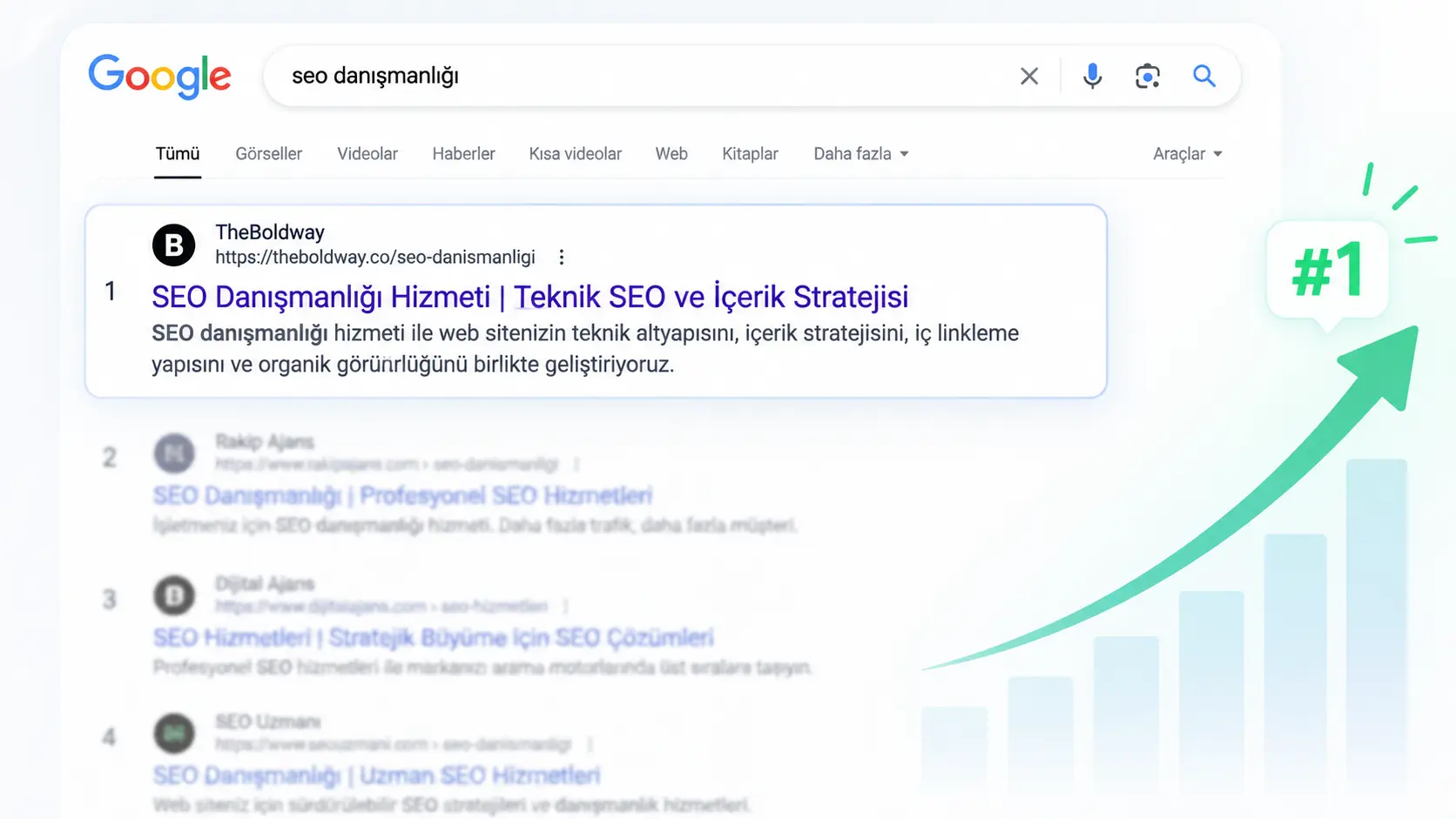 SEO Danışmanlığı